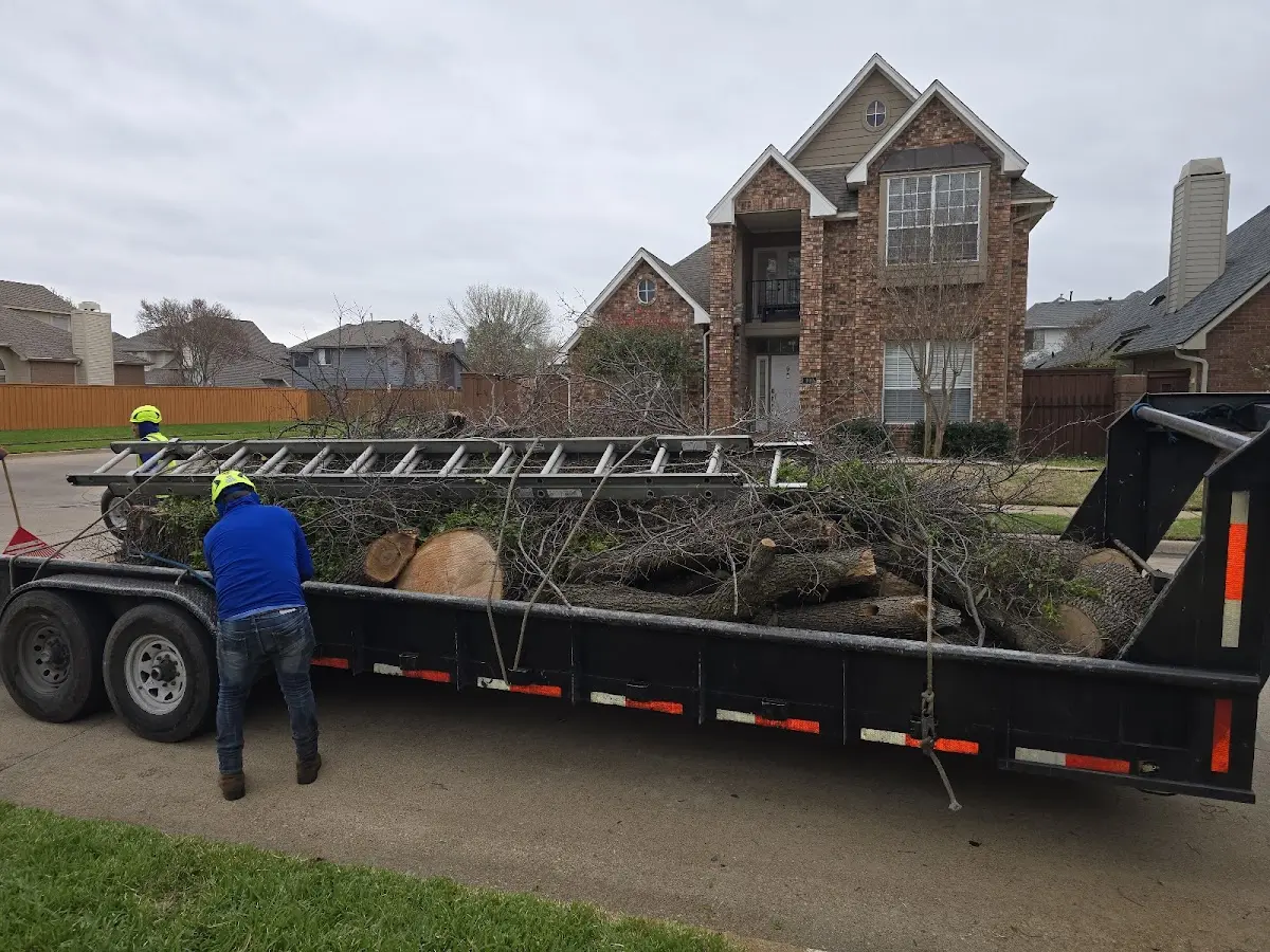 Expert Tree Fertilization with proper safety equipment in Martinsville